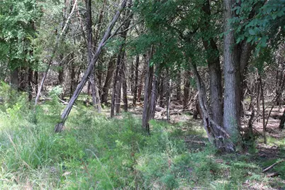 228 Private Road 2163, Iredell, TX 76649 - Photo 7