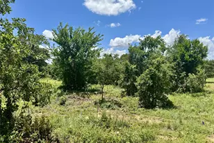 4009 County Rd 310, Cleburne, TX 76031 - Photo 5