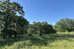186 Pr 3873, Poolville, TX 76487 - Photo 1