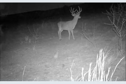 Tbd 40+/- Acres County Road 194, Ovalo, TX 79541 - Photo 15