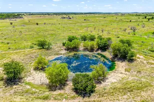 697 Lewis Rd, Graford, TX 76449 - Photo 5