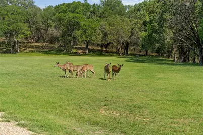 Lot 16 Rose Way, Aquilla, TX 76622 - Photo 3