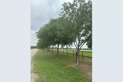 4611 Stout Road, Midlothian, TX 76065 - Photo 11