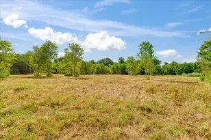 1699 N Fm 2729, Tom Bean, TX 75491 - Photo 23