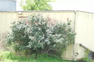 5085 Fm 73 W, Prairie Hill, TX 76678 - Photo 23