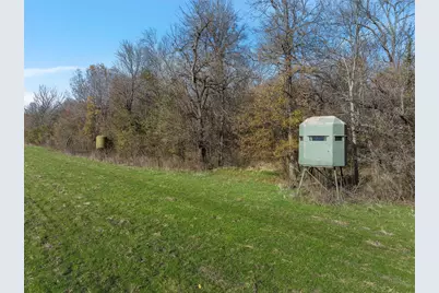 1170 Lumkins Road, Forreston, TX 76041 - Photo 37