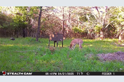 277 County Road 4461, Decatur, TX 76234 - Photo 19