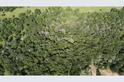 277 County Road 4461, Decatur, TX 76234 - Photo 7