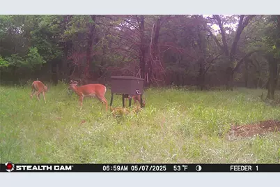 277 County Road 4461, Decatur, TX 76234 - Photo 17