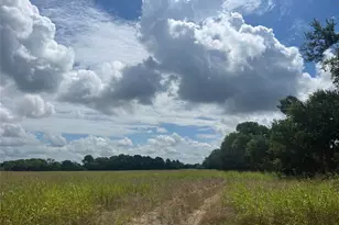 5368 TX-14, Mexia, TX 76667 - Photo 1