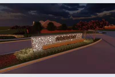 121 Tornillo Drive, Celina, TX 75009 - Photo 35