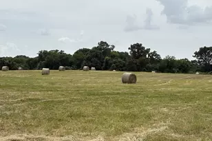 250 Vz County Road 2922, Athens, TX 75752 - Photo 25