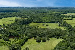 250 Vz County Road 2922, Athens, TX 75752 - Photo 31