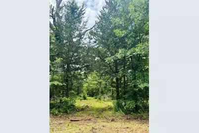 950 Vz County Road 1919, Fruitvale, TX 75127 - Photo 11