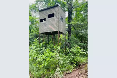 950 Vz County Road 1919, Fruitvale, TX 75127 - Photo 9