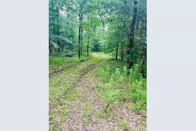 950 Vz County Road 1919, Fruitvale, TX 75127 - Photo 5