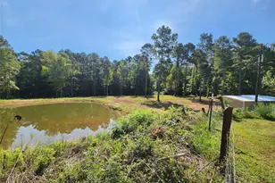 9937 Co Rd 3250, Timpson, TX 75975 - Photo 5