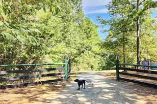 9937 Co Rd 3250, Timpson, TX 75975 - Photo 17