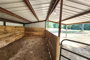 9937 Co Rd 3250, Timpson, TX 75975 - Photo 9