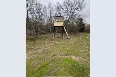 9511 NE County Road 2170, Powell, TX 75153 - Photo 3