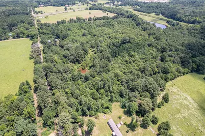 15688 US Highway 271, Tyler, TX 75708 - Photo 7