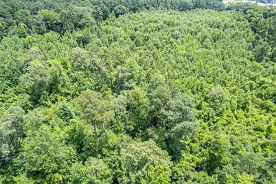 0 Cr 353, Tyler, TX 75708 - Photo 13