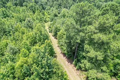 0 Cr 353, Tyler, TX 75708 - Photo 9