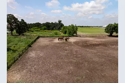 311 Martingale Trail, Oak Point, TX 75068 - Photo 27