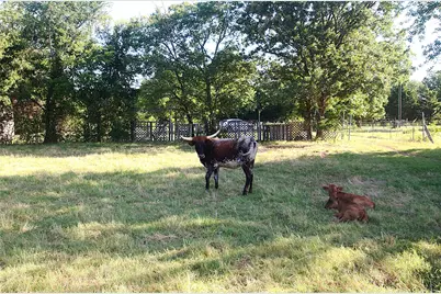 316 Flowing Wells, Pottsboro, TX 75076 - Photo 3