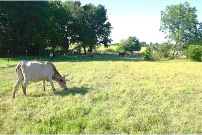 316 Flowing Wells, Pottsboro, TX 75076 - Photo 5