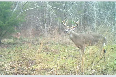 3324 County Road 3206, Dawson, TX 76639 - Photo 1