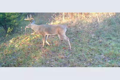 3324 County Road 3206, Dawson, TX 76639 - Photo 35