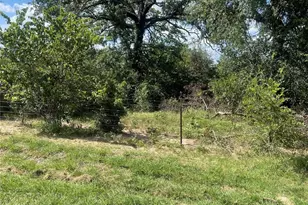 293 Co Rd 3432, Paradise, TX 76073 - Photo 1