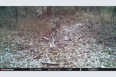 3324-A County Road 3206, Dawson, TX 76639 - Photo 7