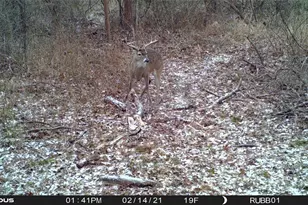 3324-A County Road 3206, Dawson, TX 76639 - Photo 7