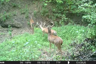 3324-A County Road 3206, Dawson, TX 76639 - Photo 9