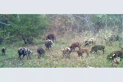 3324-A County Road 3206, Dawson, TX 76639 - Photo 3