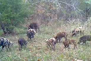 3324-A County Road 3206, Dawson, TX 76639 - Photo 3