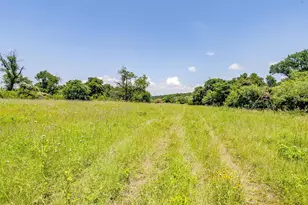 1152 Co Rd 317, Rainbow, TX 76077 - Photo 15