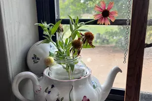 325 C R 100, San Saba, TX 76877 - Photo 19