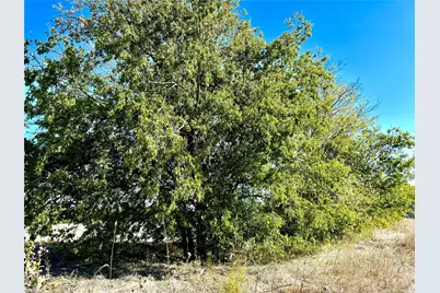 Lot 10 Cr-590, Nevada, TX 75173 - Photo 3