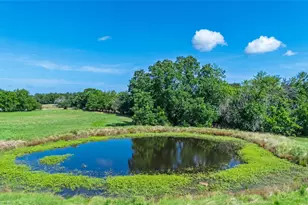 3829 FM 64, Ladonia, TX 75449 - Photo 7