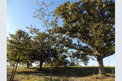 Lot 14 Anglers Point Drive, Emory, TX 75440 - Photo 15