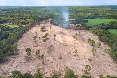 Tract 3 - Tbd County Road 4307, LaRue, TX 75770 - Photo 13