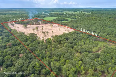 Tract 3 - Tbd County Road 4307, LaRue, TX 75770 - Photo 3