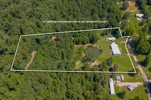 636 Roberson Rd, Hallsville, TX 75650 - Photo 5