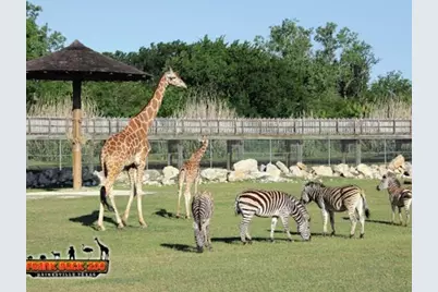 000 County Road 237, Gainesville, TX 76240 - Photo 13