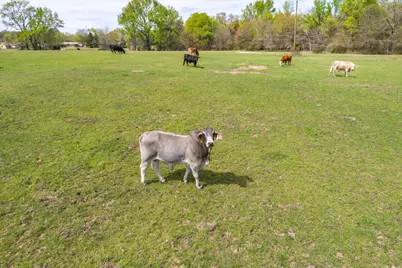 000 Oklahoma Street, Van, TX 75790 - Photo 13