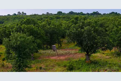 0000 Fm 61, Graham, TX 76450 - Photo 3