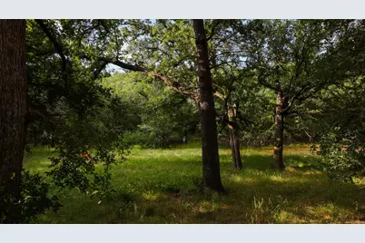 0000 Fm 61, Graham, TX 76450 - Photo 7